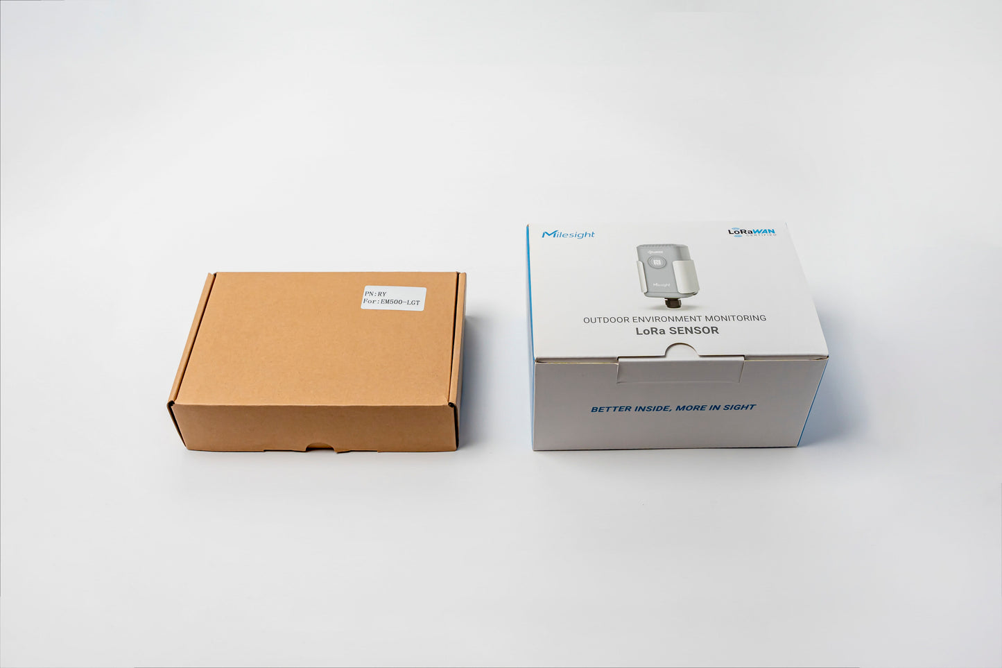 Light Sensor: EM500-LGT