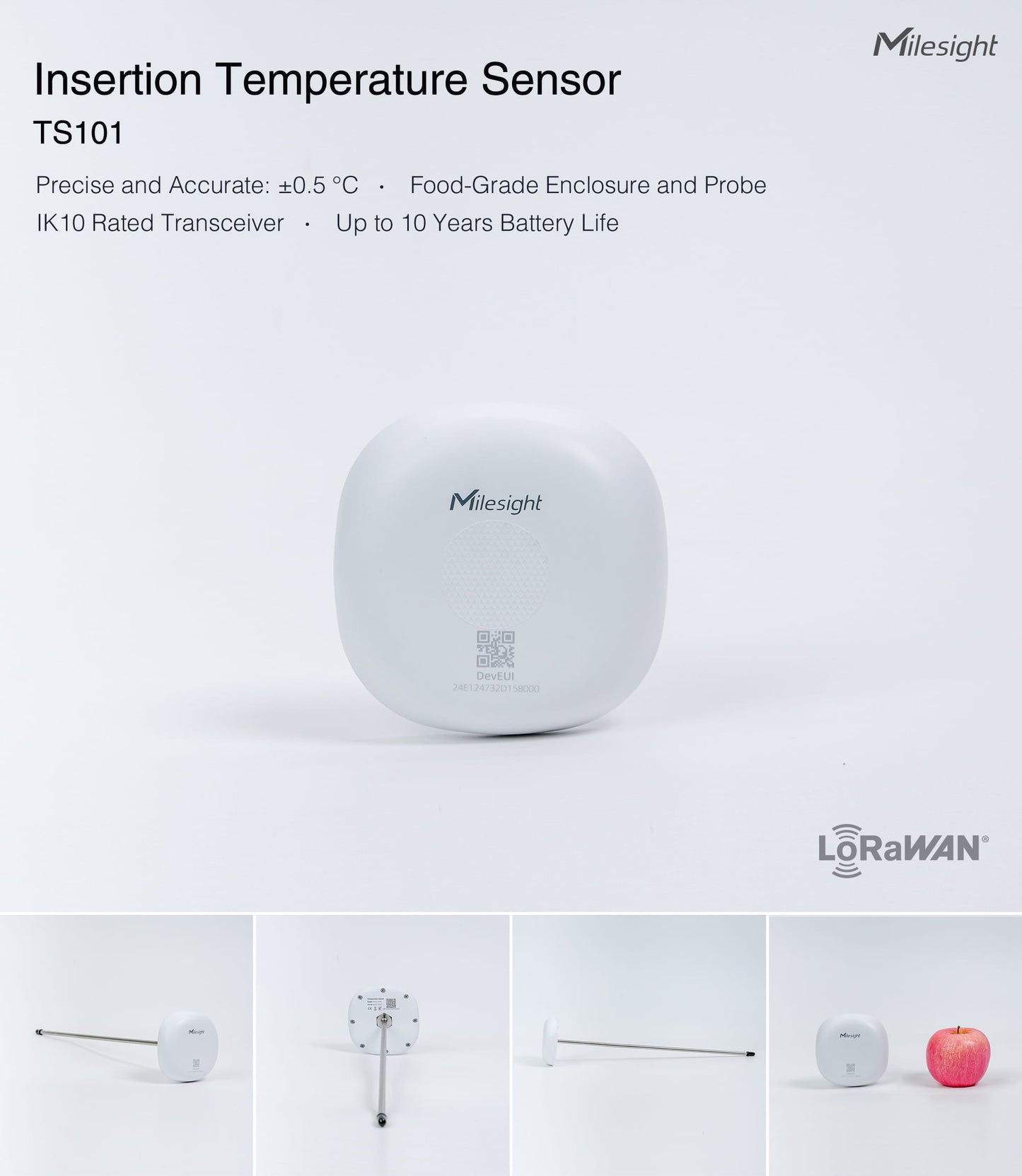Insertion Temperature Sensor: TS101