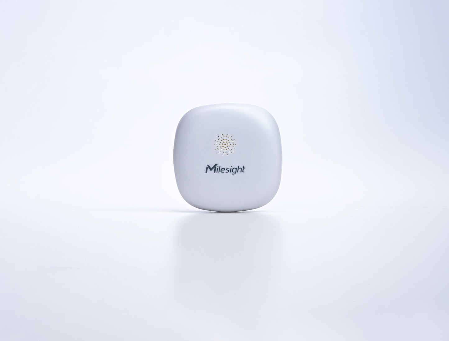 Mini Leak Detection Sensor: WS303