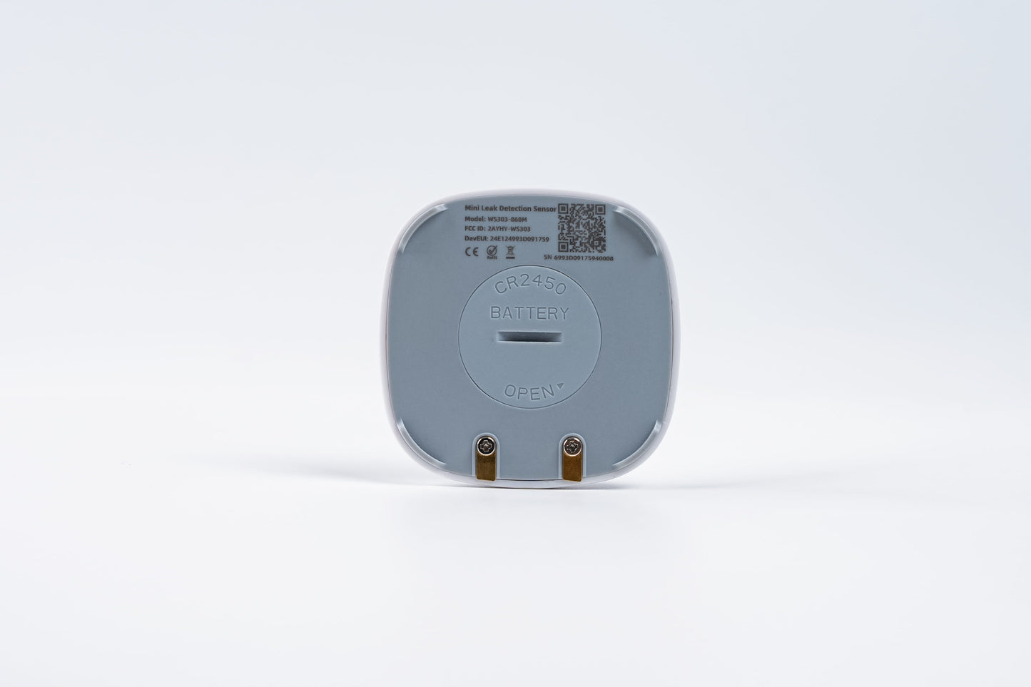 Mini Leak Detection Sensor: WS303