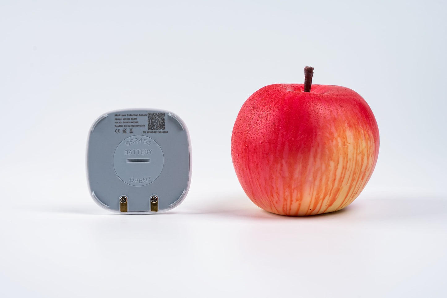 Mini Leak Detection Sensor: WS303