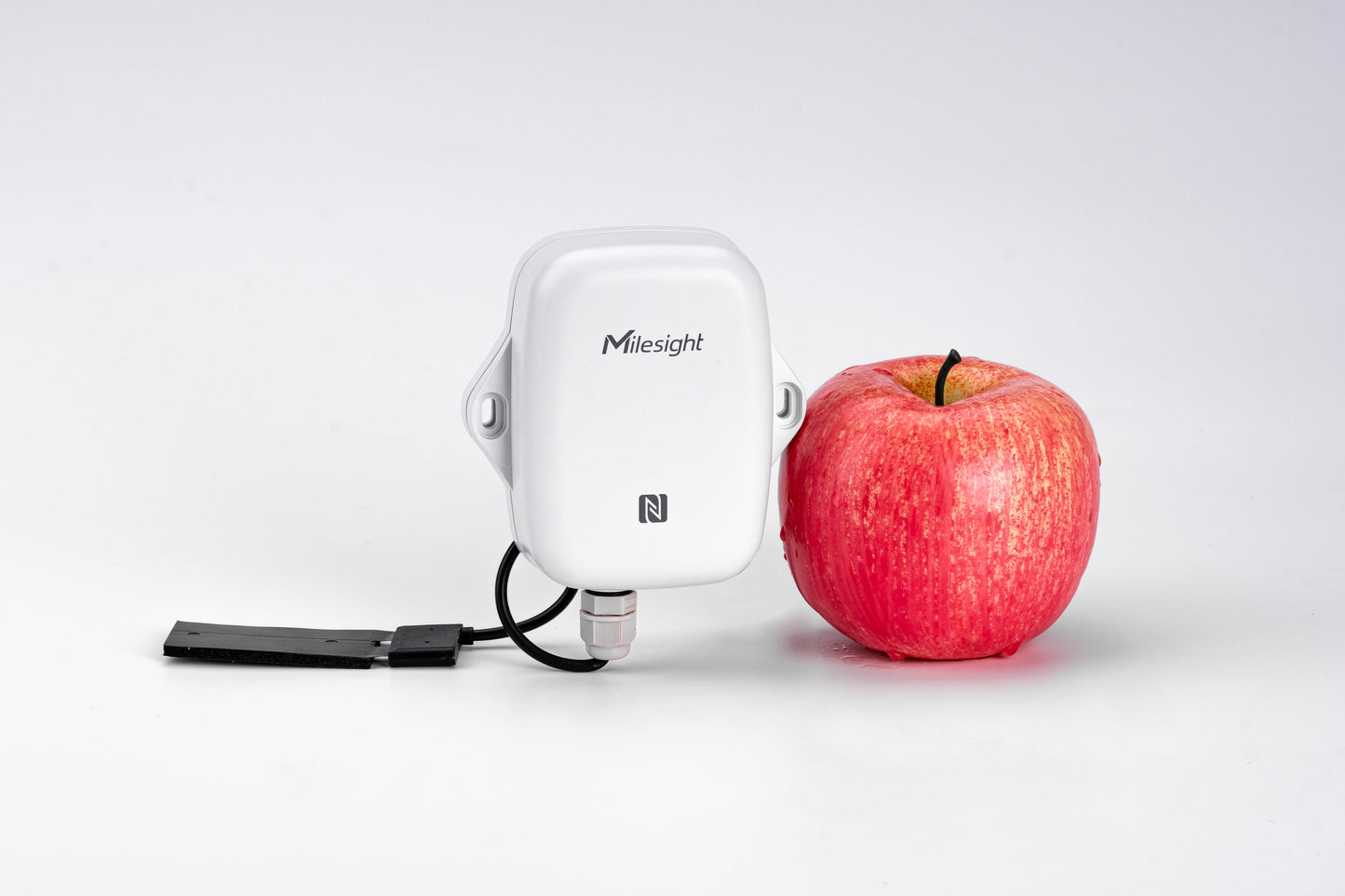 Capacitive Level Sensor: EM300-CL