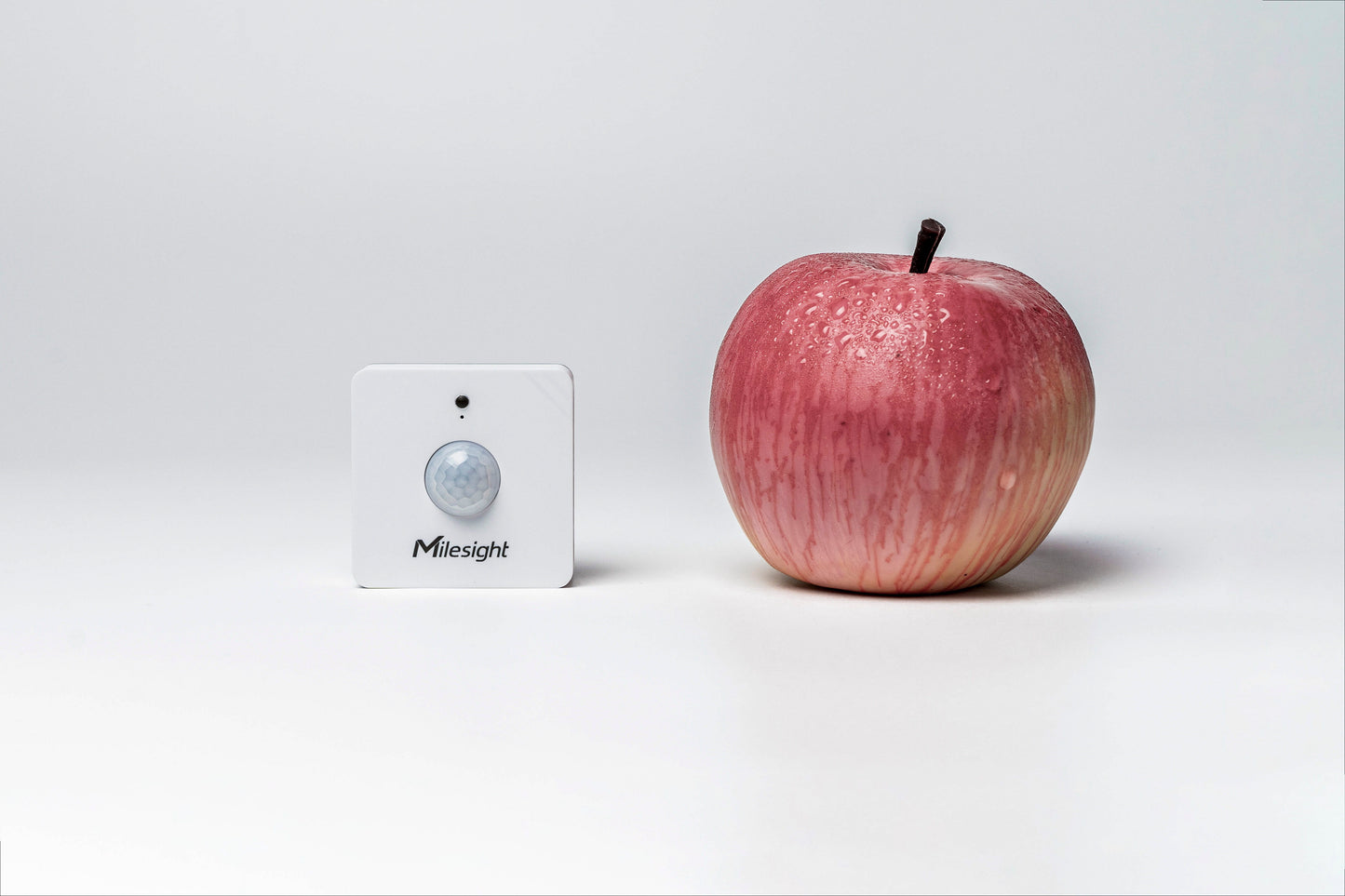 PIR & Light Sensor: WS202